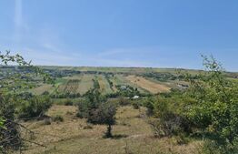 Teren extravilan 1,5 h  pentru investitie 