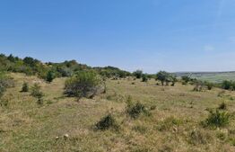 Teren extravilan 1,5 h  pentru investitie 