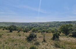 Teren extravilan 1,5 h  pentru investitie 