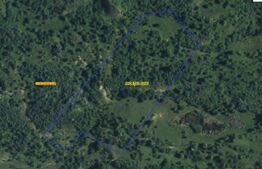 Teren extravilan 1,5 h  pentru investitie 