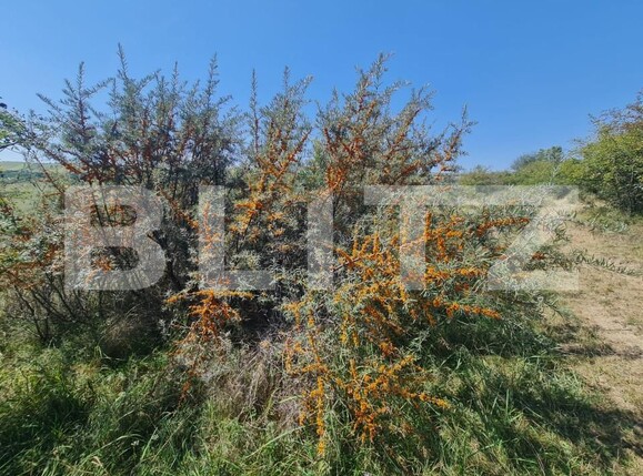 Teren de vânzare Exterior Est - 157811TV | BLITZ Cluj-Napoca | Poza7