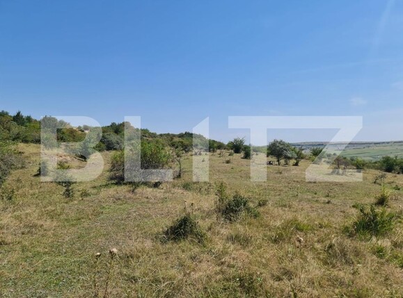 Teren de vânzare Exterior Est - 157811TV | BLITZ Cluj-Napoca | Poza5