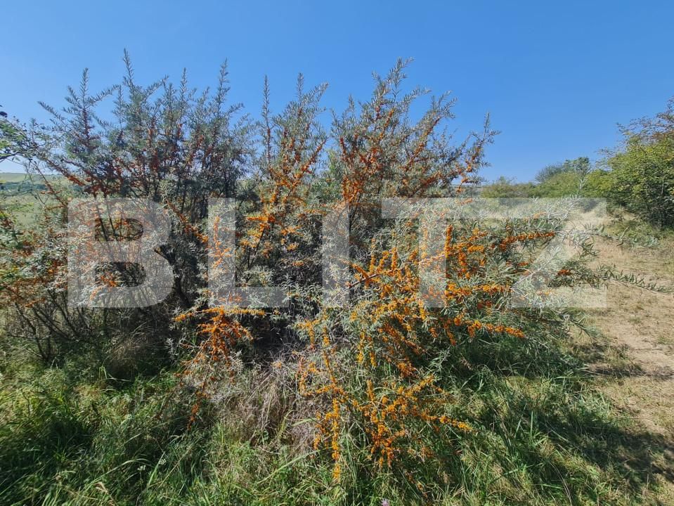 Teren de vânzare Exterior Est - 157811TV | BLITZ Cluj-Napoca | Poza7