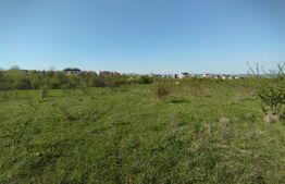 Teren 1000 mp, Buna Ziua, PUZ in derulare