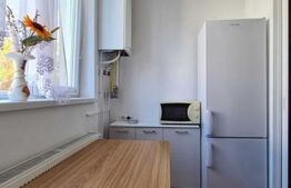 Garsoniera 21 mp, etaj intermediar, centrala proprie, zona Lombului 