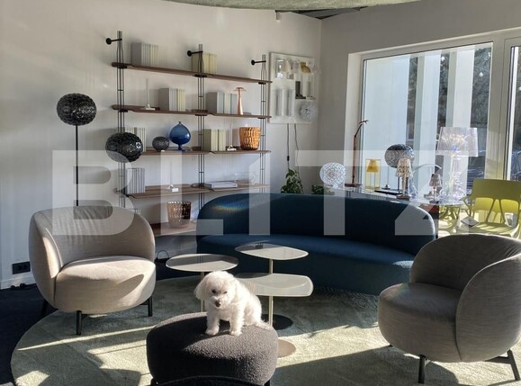 Spațiu birouri de închiriat Bună Ziua - 157906SIB | BLITZ Cluj-Napoca | Poza6