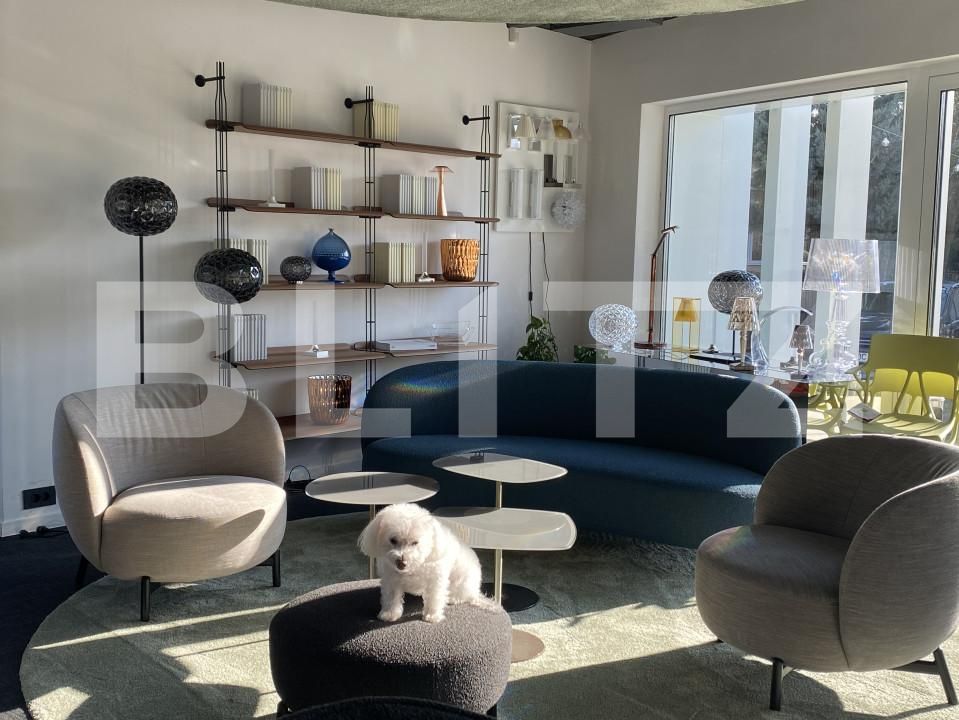 Spațiu birouri de închiriat Bună Ziua - 157906SIB | BLITZ Cluj-Napoca | Poza6