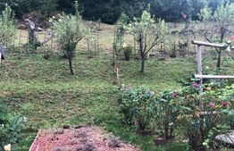 De vanzare teren intravilan in zona Schei (+cabana)