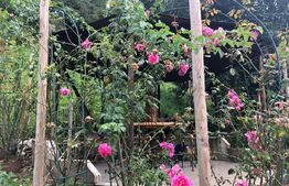 De vanzare teren intravilan in zona Schei (+cabana)