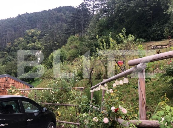 Teren de vânzare Schei - 157923TV | BLITZ Brașov | Poza6