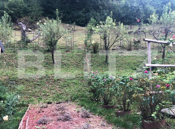 Teren de vânzare Schei - 157923TV | BLITZ Brașov | Poza8