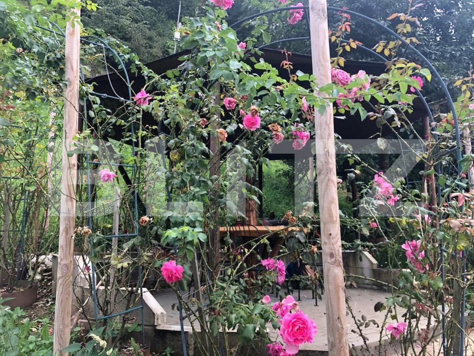 Teren de vânzare Schei - 157923TV | BLITZ Brașov | Poza5