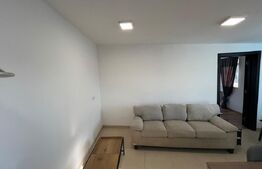 Apartament 2 camere , mobilat modern  , pet friendly , zona Iris