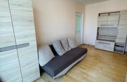 Apartament 1 camera, decomandat, 35 mp, zona Porii 