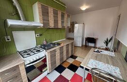 Apartament 1 camera, decomandat, 35 mp, zona Porii 