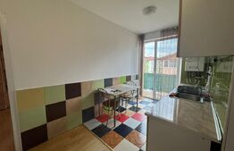 Apartament 1 camera, decomandat, 35 mp, zona Porii 