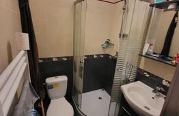 Apartament 1 camera 27.42mp, gradina, parcare, preluare chiriasi, zona Zona VIVO