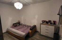 Apartament 1 camera 27.42mp, gradina, parcare, preluare chiriasi, zona Zona VIVO