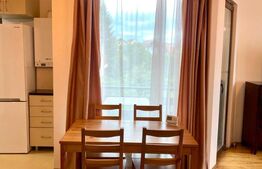 Apartament luminos de 2 camere tip open space , 60mp, zona Golden Tulip