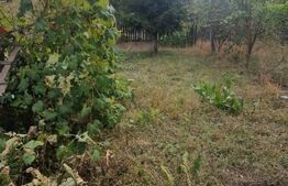 Teren Intravilan cu toate utilitatile Tarlungeni - imprejmuit cu gard