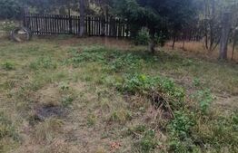 Teren Intravilan cu toate utilitatile Tarlungeni - imprejmuit cu gard