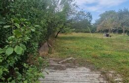 Teren Intravilan cu toate utilitatile Tarlungeni - imprejmuit cu gard