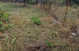 Teren Intravilan cu toate utilitatile Tarlungeni - imprejmuit cu gard