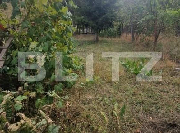 Teren de vânzare Tarlungeni - 158045TV | BLITZ Brașov | Poza2