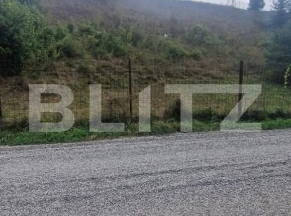 Teren de vânzare Tarlungeni - 158045TV | BLITZ Brașov | Poza12