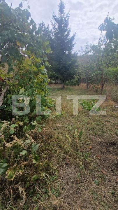 Teren de vânzare Tarlungeni - 158045TV | BLITZ Brașov | Poza2