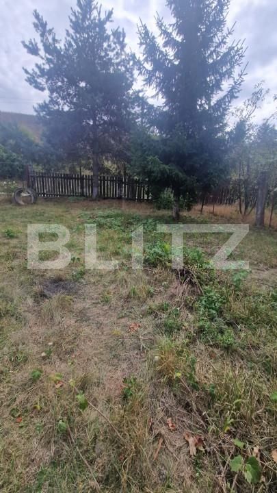 Teren de vânzare Tarlungeni - 158045TV | BLITZ Brașov | Poza3