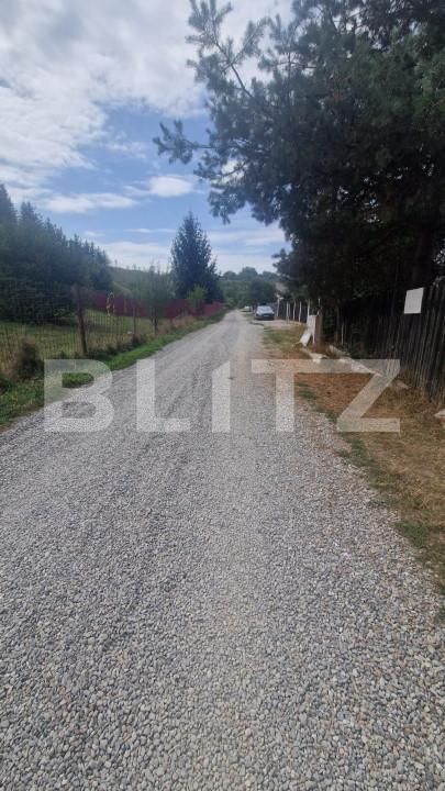 Teren de vânzare Tarlungeni - 158045TV | BLITZ Brașov | Poza7