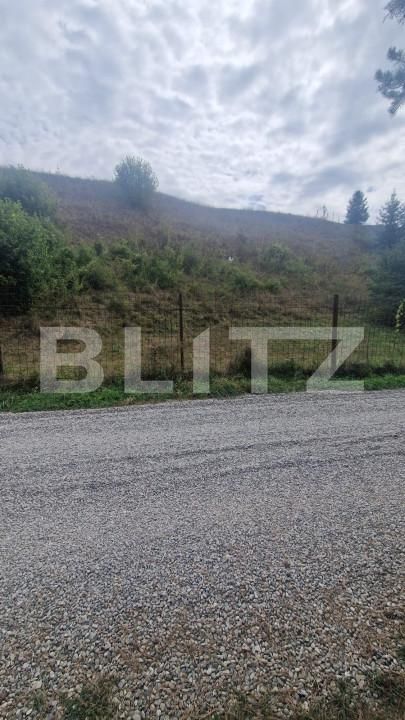 Teren de vânzare Tarlungeni - 158045TV | BLITZ Brașov | Poza12