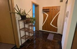 Apartament cu 2 camere,pet friendly, zona strazii Becas