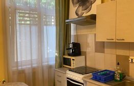 Apartament la casa, 35mp, curte, parcare, zona Intre Lacuri