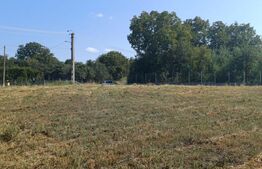 Teren intravilan de vanzare in Calarasi langa Turda!