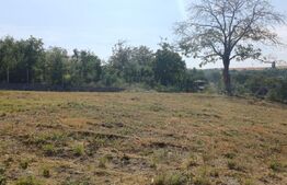 Teren intravilan de vanzare in Calarasi langa Turda!