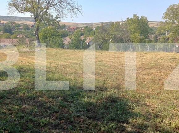 Teren de vânzare Călăraşi - 158084TV | BLITZ Cluj-Napoca | Poza1