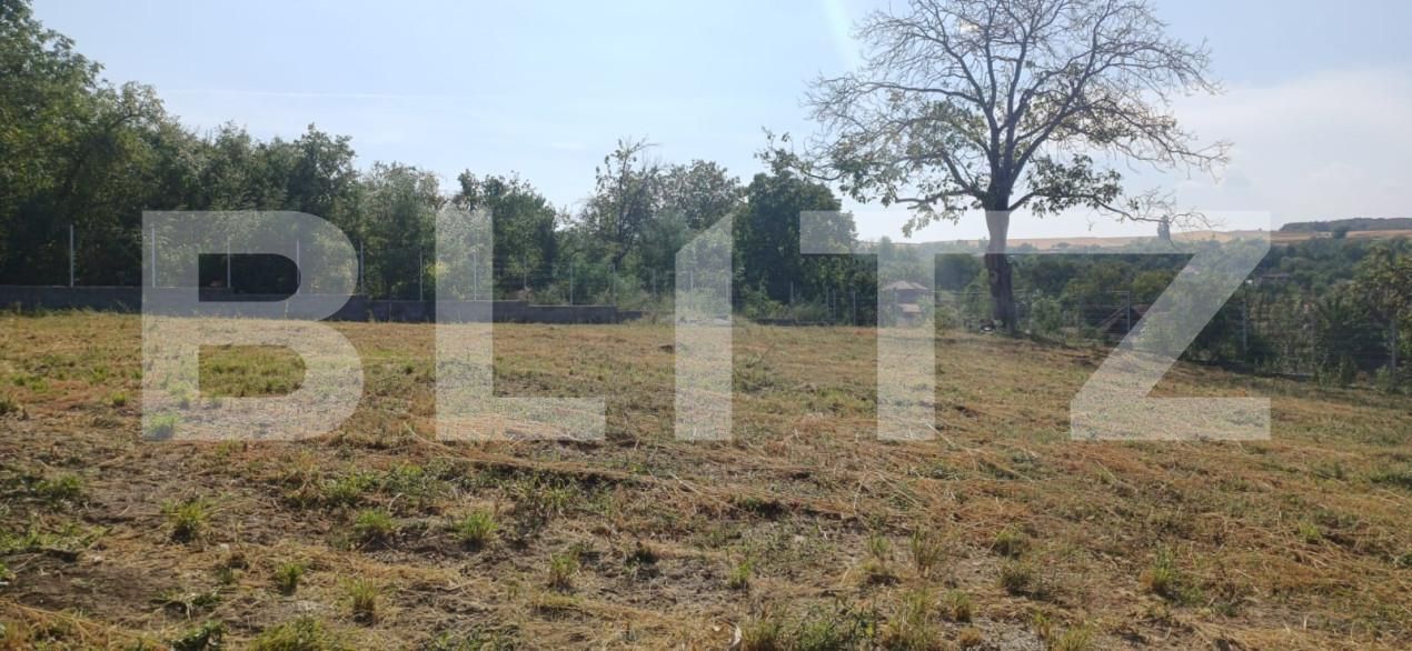 Teren de vânzare Călăraşi - 158084TV | BLITZ Cluj-Napoca | Poza2