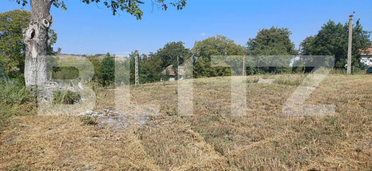 Teren de vânzare Călăraşi - 158084TV | BLITZ Cluj-Napoca | Poza4
