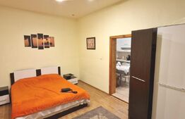 Garsoniera 33 mp cu pivnita, Centru