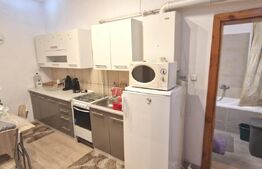 Garsoniera 33 mp cu pivnita, Centru