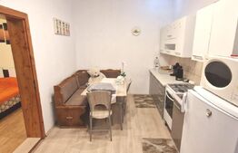 Garsoniera 33 mp cu pivnita, Centru