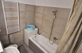 Garsoniera 33 mp cu pivnita, Centru