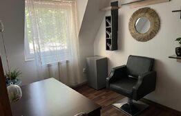 Imobil cu spatiu comercial si 4 apartamente, pe 417 mp teren, Gheorghieni