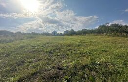 Investiție! Teren cu autorizație construire 2 case individuale, 1838mp, Borhanci