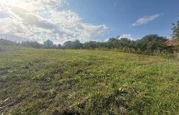 Investiție! Teren cu autorizație construire 2 case individuale, 1838mp, Borhanci