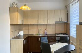 Apartament 3 camere mobilat modern, parcare, 80mp,  Cartierul Plopilor 