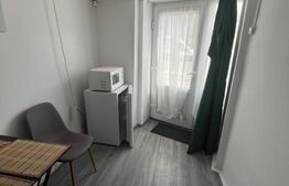Garsoniera, 20mp, cat friendly, zona Centrala