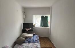 Garsoniera, 20mp, cat friendly, zona Centrala